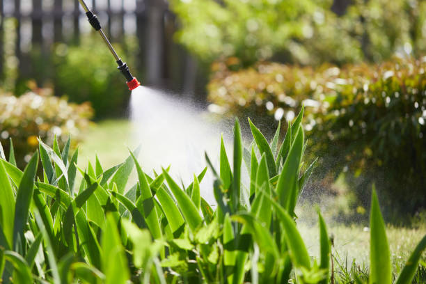24/7 Emergency Wasp Removal experts in Hubbard, TX