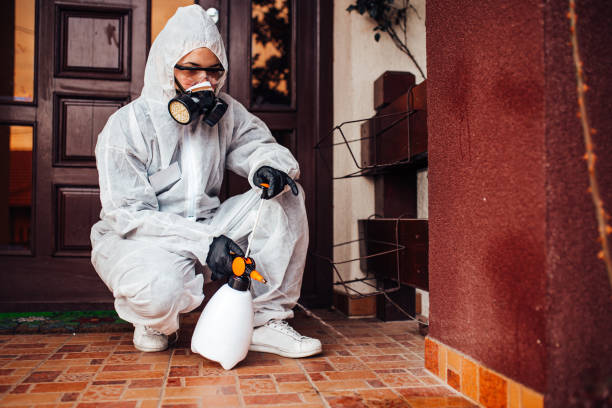Reliable Wasp Removal contractor in Hubbard, TX by Show Me Pest Control